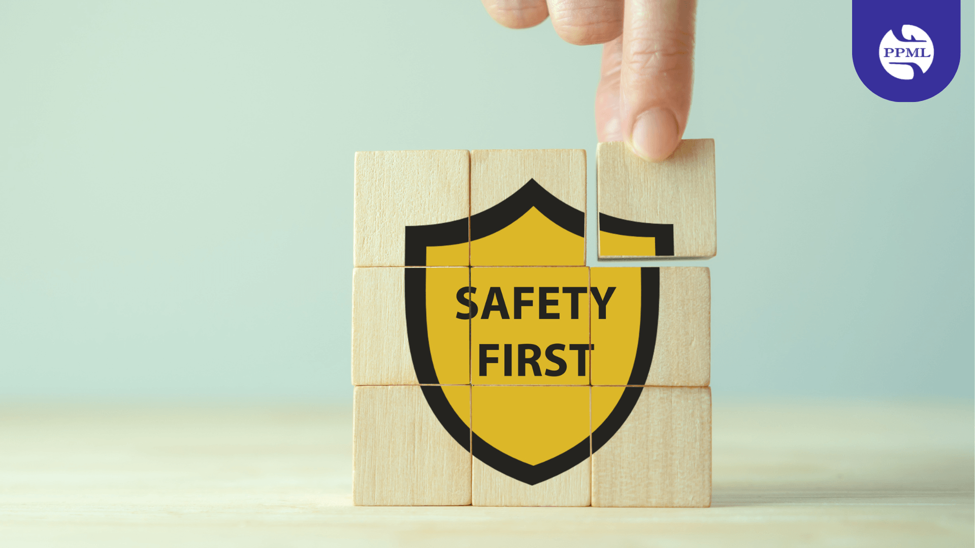 Safety Precautionss When You Hire Packers and Movers in India (Pradhan Packers and Movers pvt ltd)