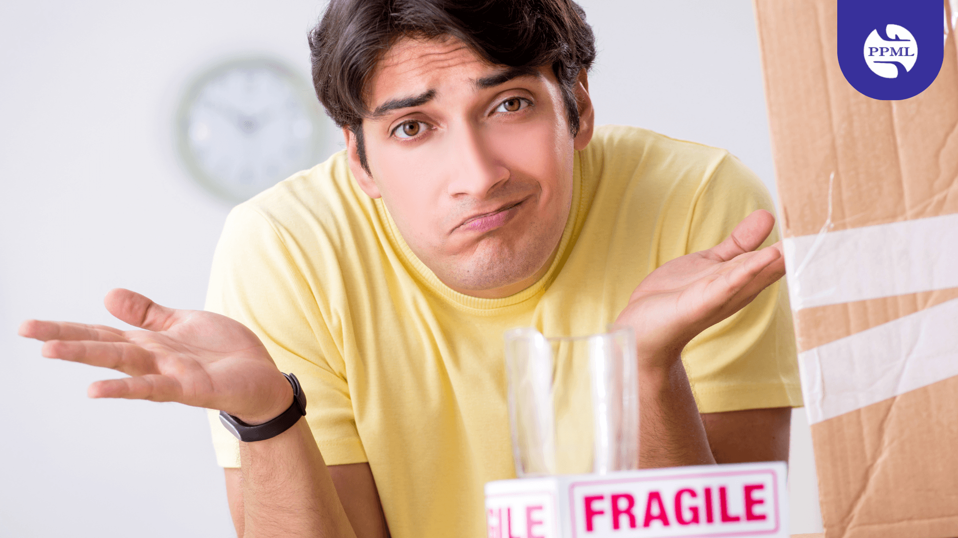 Why To Choose Pradhan Packers & Movers For All Shifting Services (Pradhan Packers and Movers pvt ltd)