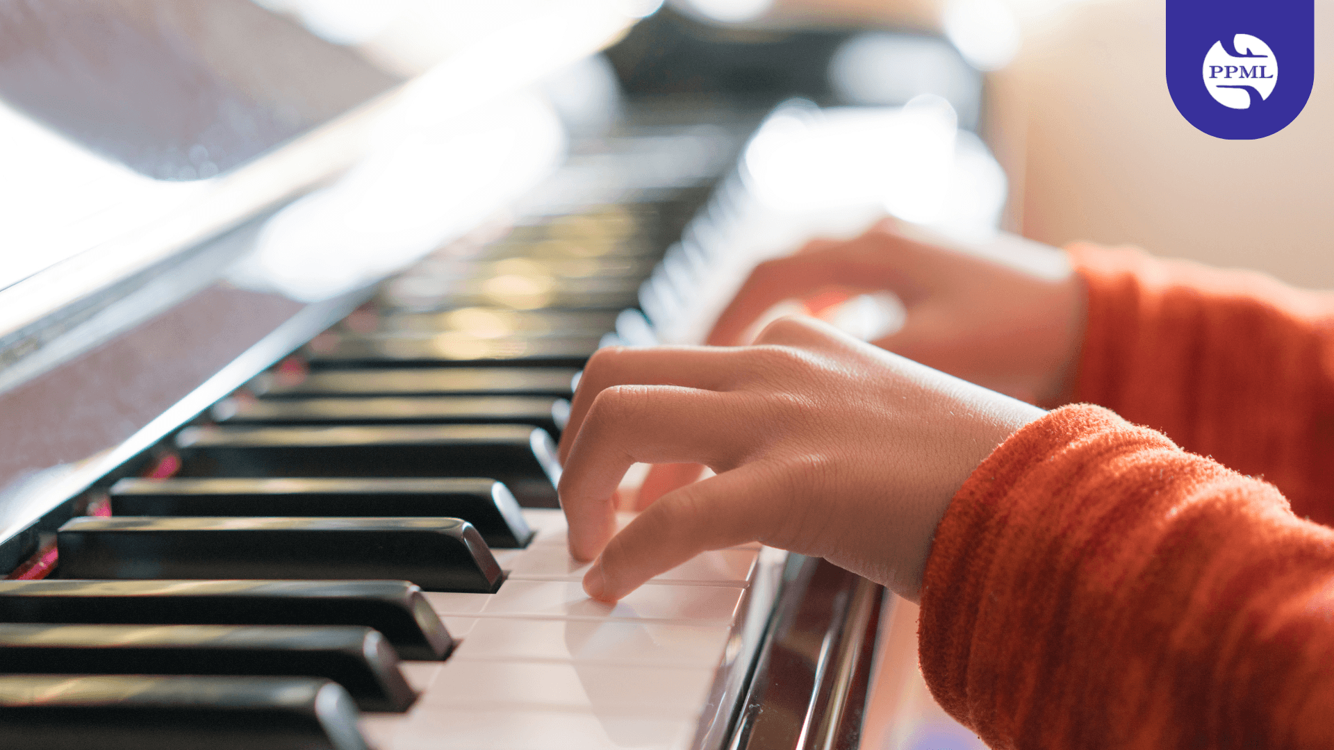 How To Safely Relocate High-Value Items Pianos, Antiques, Artwork And Safes Without Damage (Pradhan Packers and Movers pvt ltd)