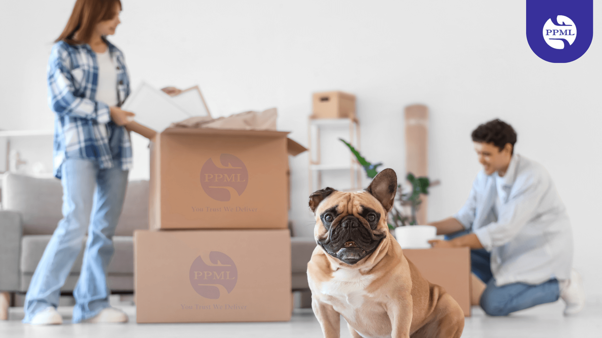 Tips For Shifting In Kolkata With Kids And Pets (Pradhan Packers and Movers pvt ltd)